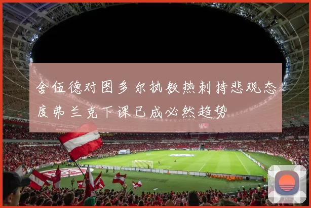 舍伍德对图多尔执教热刺持悲观态度弗兰克下课已成必然趋势