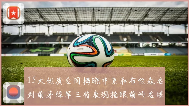 15大优质合同揭晓申京和布伦森名列前茅绿军三将表现抢眼前两名堪称传奇